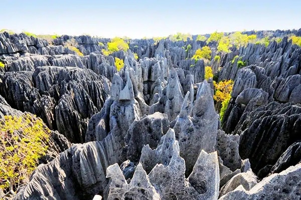 Wonder of Madagascar: The Tsingy of Namoroka.