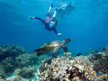 Day 12: Nosy Be - Marine Reserve of Nosy Tanikely