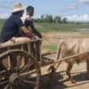 Immersion trip to Madagascar: Ambalahonko, a fine example of solidarity tourism