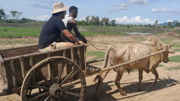 Immersion trip to Madagascar: Ambalahonko, a fine example of solidarity tourism