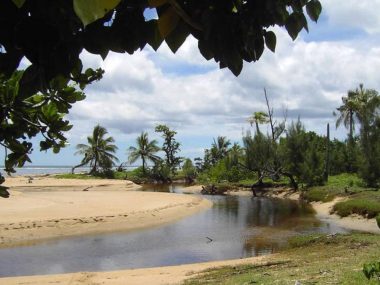 Jour 12 – Cap Est – Antalaha