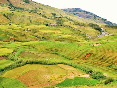 Jour 4 – Antoetra > Fianarantsoa