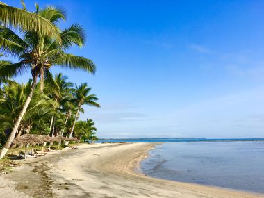 Jour 5 : Palmarium – Toamasina – Mahambo
