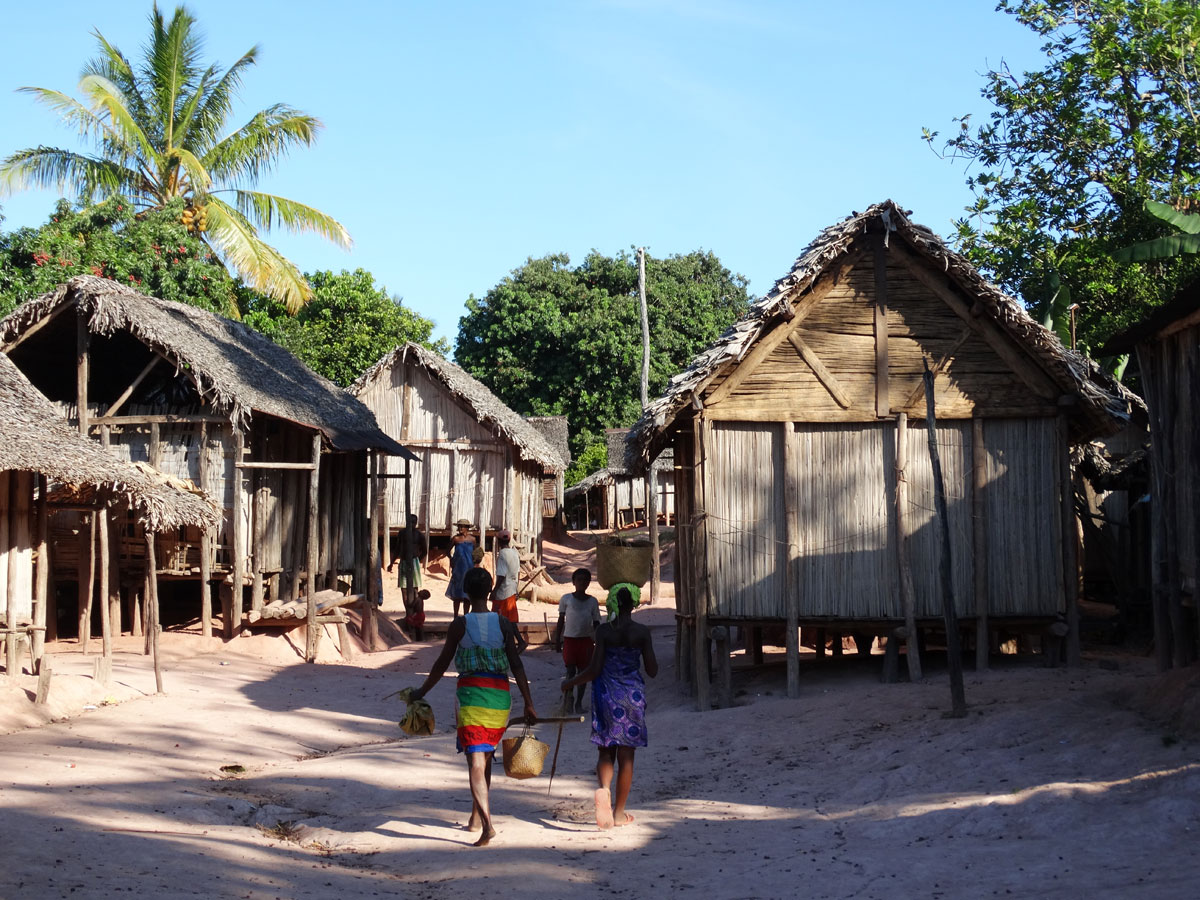 Jour 5 : Réserve du Palmarium – immersion communautaire à Aragnana