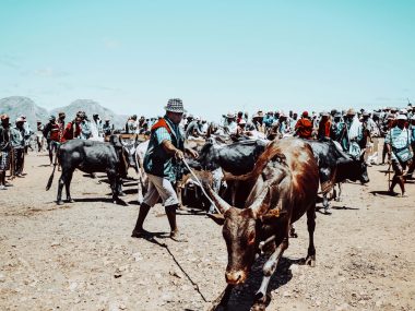 Jour 6 – Ambalavao > Ranohira