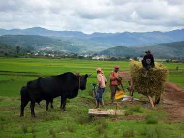 Jour 8 : Aragnana > Antananarivo