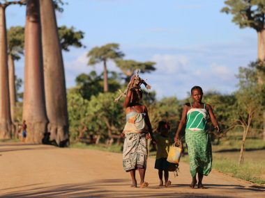 Jour 9 : Morondava – Antananarivo