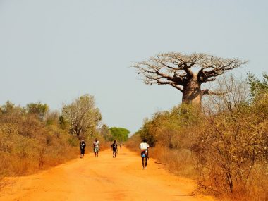 Día 9: Morondava – Manja