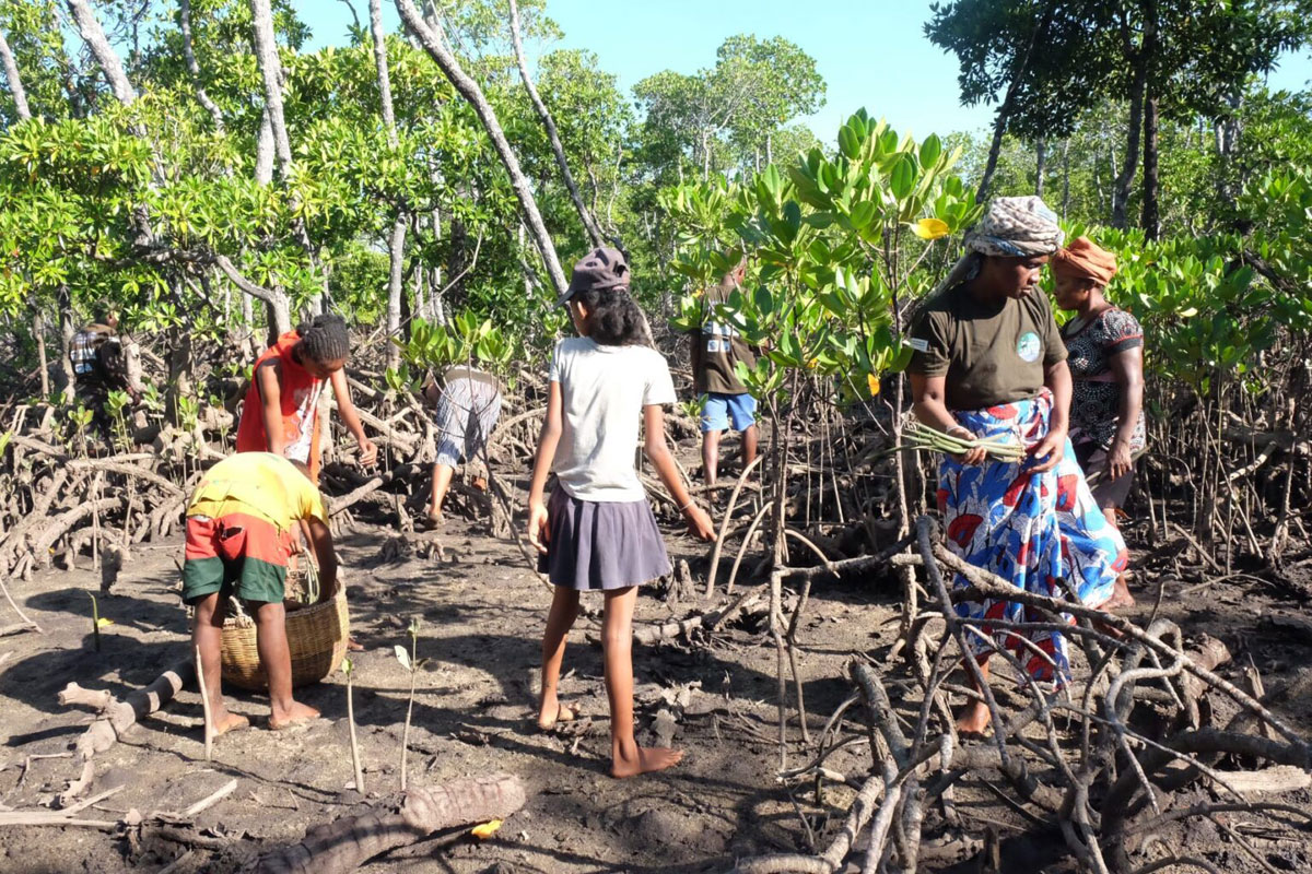 Jour 8 – Immersion à Ambalahonko