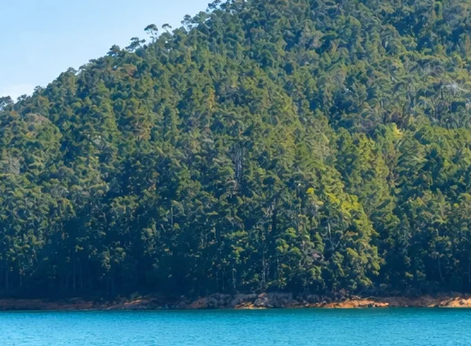 Nature immersion in the heart of Antongil Bay