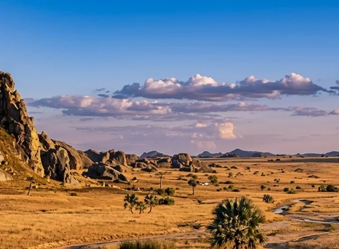 Authentic Madagascar: from the Tropical Forest to the Southern Lagoons