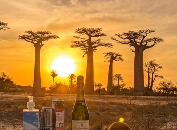 Inmersión en la naturaleza en el Gran Oeste: baobabs, tsingy y fauna rara