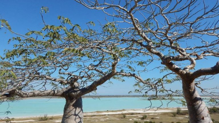 9-Le-site-RAMSAR-de-Tsimanampetsotse 9-Le-site-RAMSAR-de-Tsimanampetsotse