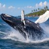 Baleine à bosse, une part de la nature et biodiversité de Madagascar