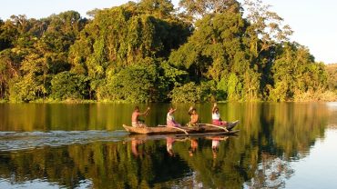 Destination Madagascar : Une parenthèse nature dans l'Ouest de l'île Rouge.