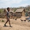 Une journée à Madagascar chez les Mahafaly.